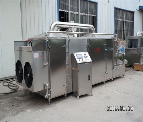 水果加工定制烘干機(jī)圖片 山東嘉信工業(yè)裝備